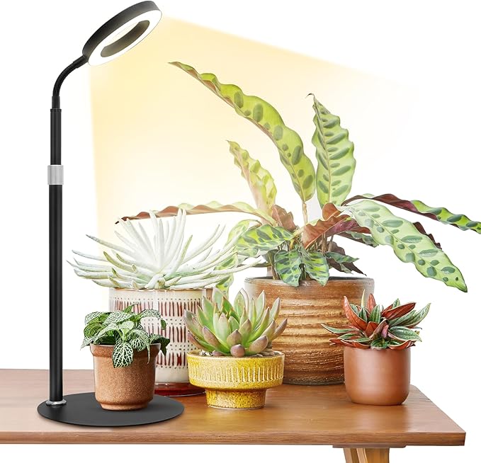 Desk Top Grow Lights for Indoor PlantsFull Spectrum Table Plant Light24.2 Telescope StandUV LED Red Blue Halo Growing LampAdjustable GooseneckAuto Timer3 Lighting Modes10-Level Dimmable