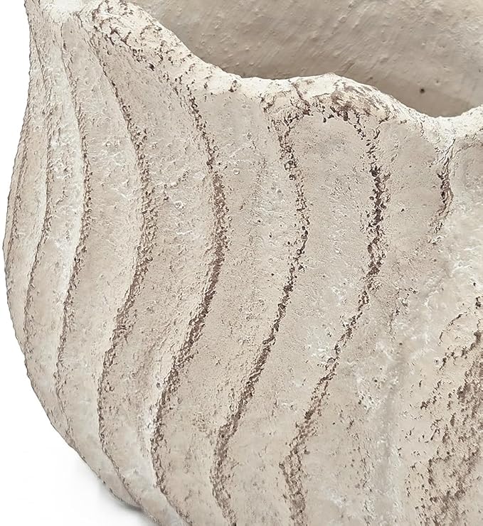 9x5.5x5.7 Sand and Cement Conch Planter with Textured Beige