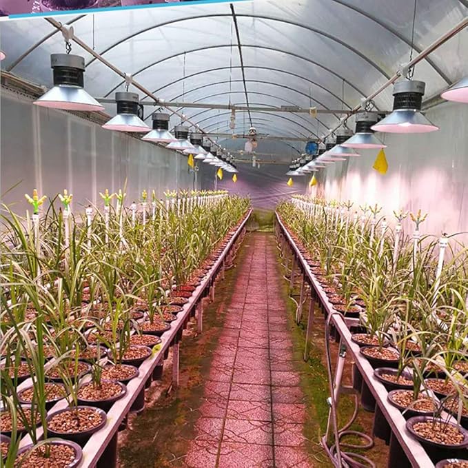50W 100-LED Plant Grow Light Bulb Hydroponic Veg Flower Full (Colour: Astigmatismo Dimensions: 50W)