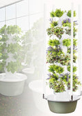 Hydroponics Growing System with 30L Tank Indoor Gardening System for 20/28/36 Plants Includes LED Grow Light 5/7/9 Layers