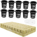 Happyyami 1set Hydroponics Growing System Kit Self-Watering Planter Baskets Cubes and Rope for Soilless Cultivation of Flowers and Vegetables