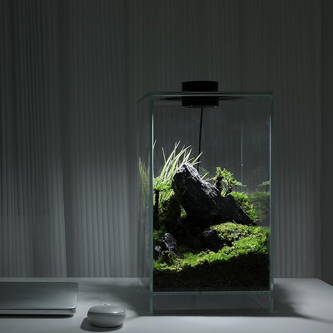 Desktop Glass Plant Terrarium with Grow Light(L7.8 W7.8 H14) for Succulent Moss Miniature Gardening Landscape Betta Fish Tank Indoor Plant Growth Office Home Decoration (TimeControlled)