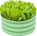 SnugNiture 2x2x1ft Round Galvanized Raised Garden Bed Kit Outdoor Metal Planter Box for Planting Plants Vegetables Green