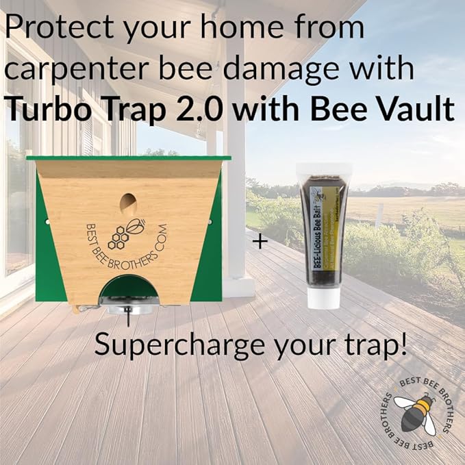 Best Bee Brothers Turbo Trap 2.0 Professional-Grade Carpenter Bee Trap for Outside with Bee Vault Large Viewport &amp Spring-Loaded Door 4.1” W x 4.8” H x 5.9” D (2 Pack)