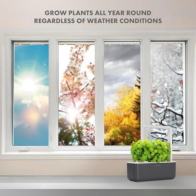 Click &amp Grow Indoor Herb Garden Kit with Grow Light | Smart Garden for Home Kitchen Windowsill | Easier Than Hydroponics Growing System | Vegetable Gardening Starter (3 Basil Pods Included) Grey