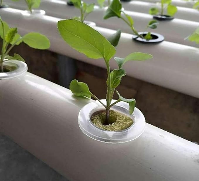 System of Hydroponic Culture of 2 Layers of 36 Plants 4 -Pipe Water Cultivation System Hydroponic Culture Kit for Leafy Vegetables Lettuce Zacate Celery 1 Piece
