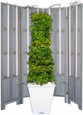 Hydroponic Tower Garden Growing System 32 Plants Indoor Garden Optimized for Growing Leafy Greens Includes LED Grow Lights (White)