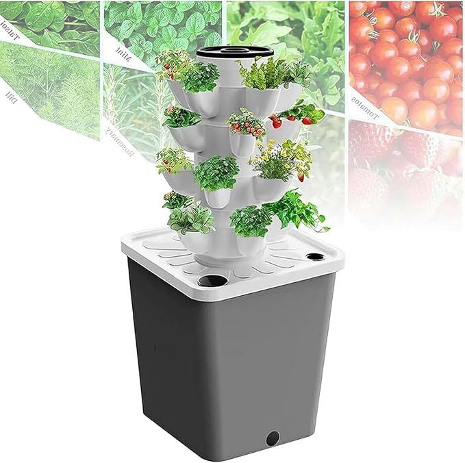 A 3 Herbal Fruits and Vegetable Culture