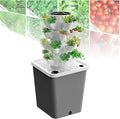 A 3 Herbal Fruits and Vegetable Culture