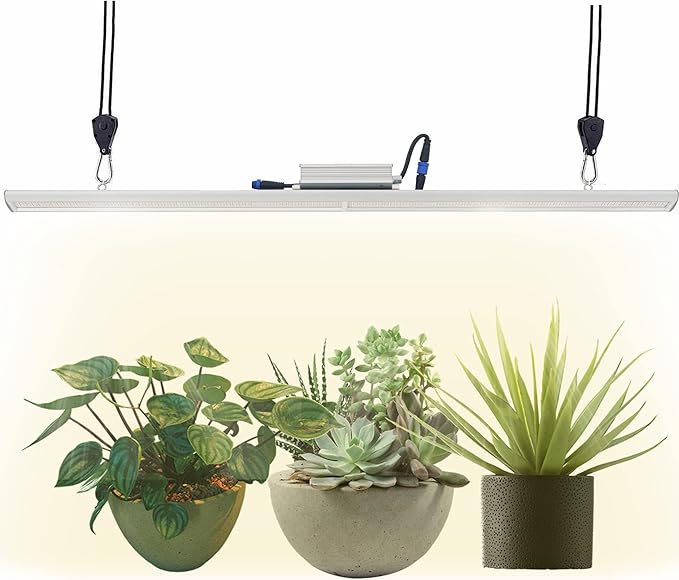 Vegelumax100Watt LED Grow Light Lamp for Indoor Plant Vege Flower Herb GrowthFull Spectrum CRI 90+ High Output White Light CCT 3200KIsolated Dimming Driver with On/Off Switch4Feet