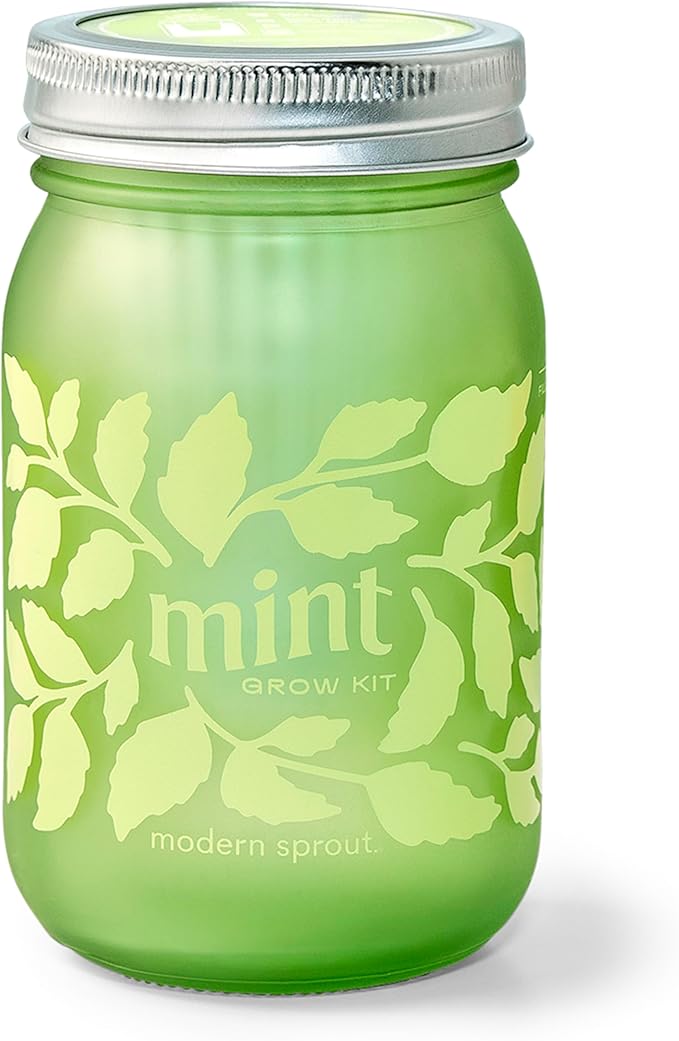 Modern Sprout Mason Garden Jar - Self-Watering Hydroponics Growing System Kit w/Organic Herb Seeds - Jar Planter for Indoor Herb Garden - Seed Starter Kit - Easter Gifting &amp Decor-Mint+Rosemary+Po