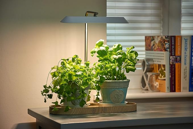 Auraglow LED Plant Grow Light with Hydroponic Full Spectrum Grow Mode &amp Display Lamp for Herbs Fruit Veg &amp Indoor Plants