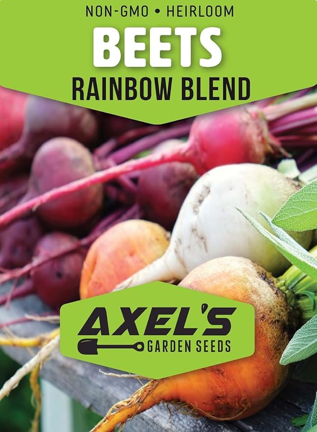 Beet Seeds for Planting - Plant &amp Grow Heirloom Beet Varieties Home Outdoor Vegetable Garden – Easy Grow Planting Packets Beta vulgaris – 5 Packets of Each Variety