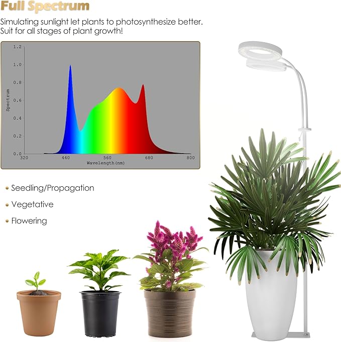 GLOWRIUM Grow Lights for Indoor Plants Full Spectrum LED Grow Light Floor Lamp with Stand Adjustable Height and Angle Black Plant Light with 3/9/12H Grow Light Timer (White 36W)
