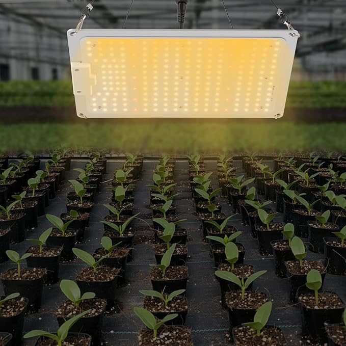 LED Grow Light Indoor Grow Lamp for Plants Veg to Flower Bloom Dimmable &amp Daisy Chain 2x2 3x3 Grow Tent Full Spectrum LM301B Diodes and Driver