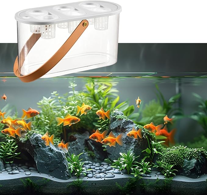 Hydroponic Grower Box and Handle 6 Holes Transparent Hydroponic Planting Box for Plants and Fish Home Cultivating White