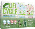Miracle LED Plant Life Cycle 4-Socket Synchronized Grow Light Kit with 4 Blue Spectrum Absolute Daylight + Bulbs and 4 Red Spectrum Multi-Plant Bulbs with Sproutmatic Timer Controls (4 Pack)