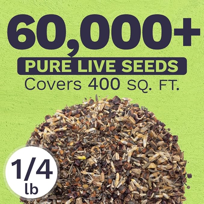 Deer Resistant Wildflower Seed Mixture - Bulk 1/4 Pound Bag - Over 60000 Deer Tolerant Seeds - Open Pollinated and Non GMO