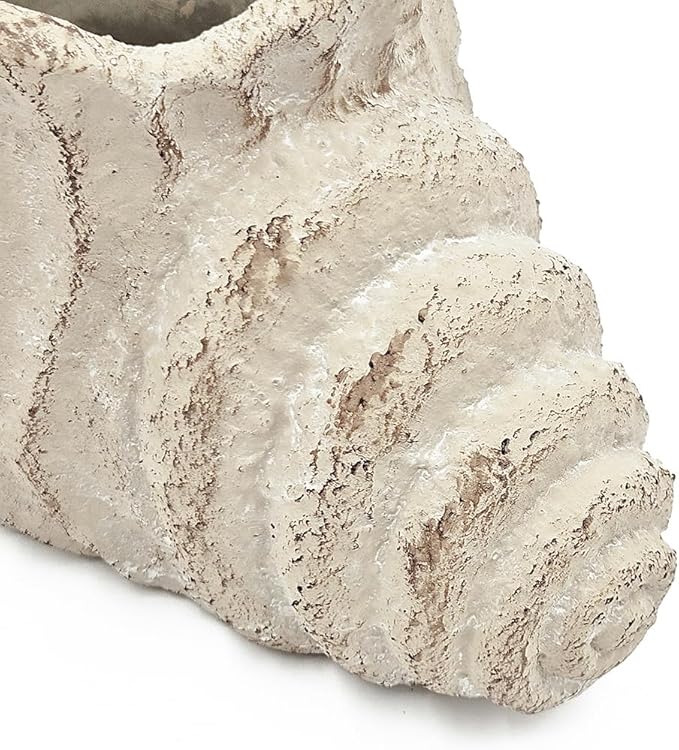 9x5.5x5.7 Sand and Cement Conch Planter with Textured Beige