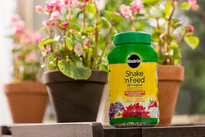 Miracle-Gro Shake 'n Feed All Purpose Continuous Release Plant Food 1-Pound (Slow Release Plant Fertilizer)