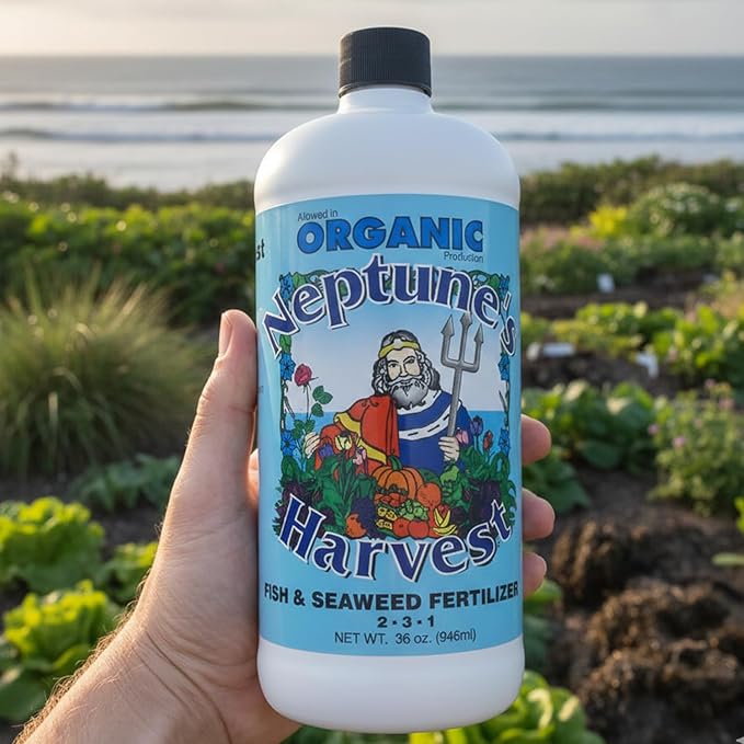 Neptune's Harvest Fish &amp Seaweed Liquid Fertilizer (2-3-1) - 36oz Bottle - Plant Food for Garden - Indoor &amp Outdoor Organic Plant Fertilizer for Vegetables Flowers Fruit Trees &amp Lawns