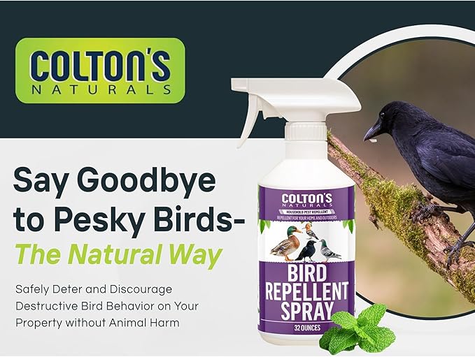Bird Repellent Spray (32 OZ) Deter Birds from Outdoor Surfaces Garden Areas Deterrent Natural Woodpecker Pigeon and More Natural