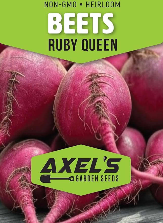 Beet Seeds for Planting - Plant &amp Grow Heirloom Beet Varieties Home Outdoor Vegetable Garden – Easy Grow Planting Packets Beta vulgaris – 5 Packets of Each Variety