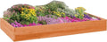 DutchCrafters Red Cedar Wood Raised Vegetable Garden Bed - Amish Made in USA (11 Double Raised Bed Cedar Stain)
