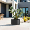Heavy Duty Corten Steel Round Raised Garden Bed Kit 15.5 Dia. x 12 H. Pre Rusted Metal Planter Box for Vegetables Flowers Herbs Black Ideal for Outdoor Gardening
