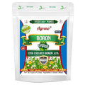 Agreno® Chelated Boron - 20% EDTA Powerful Essential Organic Fertilizer for Fast Growth of All Plants. (450 gm)