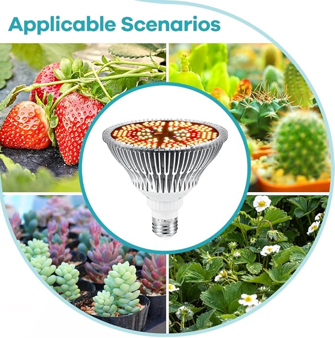 100W LED Full Spectrum Hydroponic Red Blue Plant Light 150LEDs Cultivate UV/IR Fill Light E26/E27 Indoor Greenhouse Tent Vegetable Fruits Bulb 110V Flowers Succulent Cactus Potting Seedlings Lamp