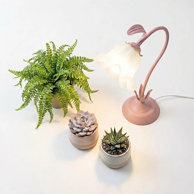 Table Top Grow Light for Indoor Plants – Decorative Desk Plant Light for Succulents Bonsai Cactus Adjustable Desktop Grow Lights with Base Cute Office Mini Grow Lamp