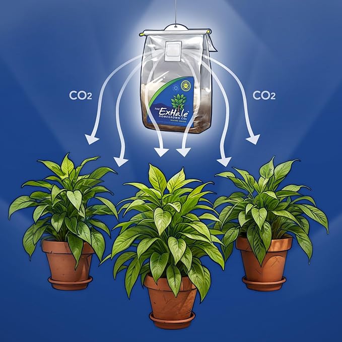 Exhale Homegrown CO2 XL 365 - Self-Activated CO2 Bags for Indoor Grow Rooms &amp Grow Tents - Foliage Mushroom Bags (1 Pack)