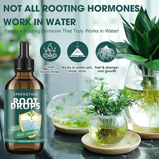 Root Drops – Liquid IBA Rooting Hormone for Cuttings | Speeds Up Propagation | Works in Water Soil Moss LECA | for Indoor Houseplants Like Pothos Monstera (4 oz)