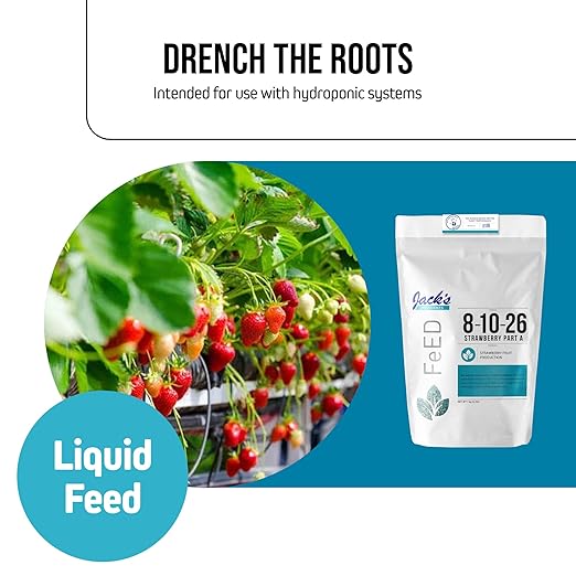Jack's Nutrients 8-10-26 Strawberry Part A 2.2lbs - Water-Soluble Fertilizer for Strawberry Fruit Production in Continuous Liquid Feed Program