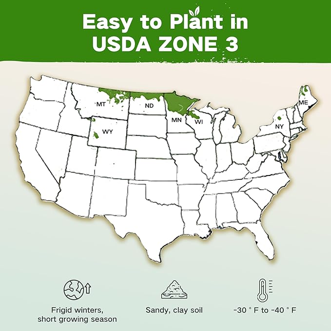 Lush&ampDew USDA Zone 3 Seed Bank Gardening Gifts for Women Men 32 Varieties Non-GMO Heirloom Seeds for Planting Vegetables Fruits Year Round Survival Seed Kit for Raised Garden Bed Greenhouse