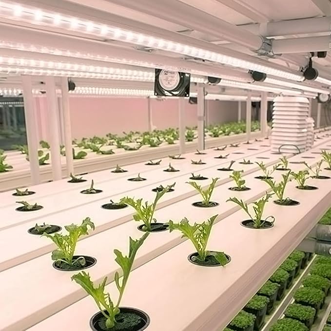 Full Spectrum Plant Growth Light 250W LED Grow Light Strips 24-Hour Cycle Timer 4 Dimmable Levels USB Plug and Play Easy Installation (100cm 2 Strips)