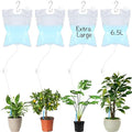 4 Pcs 6.5 L Extra Large Plant Drip Irrigation Bag Automatic Watering Bags Self Automatic Watering System Drip Irrigation Device with Adjustable Valve Switch for Gardening Flower Outdoor Clear