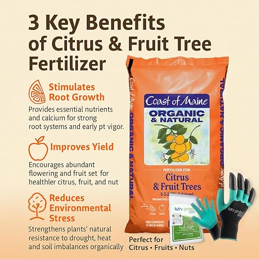 Coast of Maine CT6501 Citrus &amp Fruit Tree Plant Food 12 LB – Organic Granular Fertilizer for Fruit Trees with My Garden Pool Soil Test Strips &amp Gardening Claw Gloves
