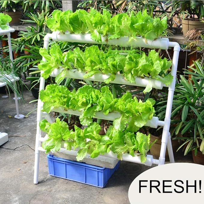 Hydroponics Growing System Kit 36 Plant Sites Food-Grade PVC-U Pipes Hydroponic Grow Kit Gardening System for VegetablesFruitsHerb