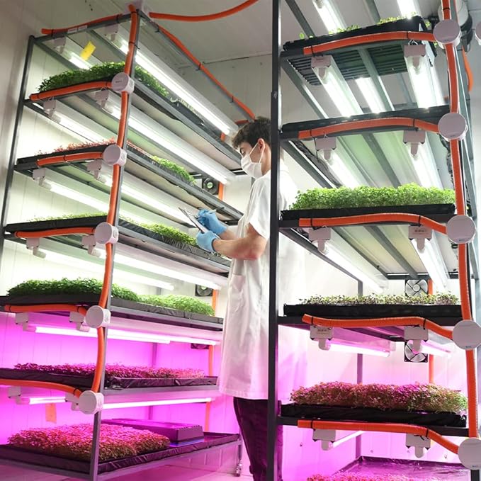 Active Grow T8/T12 High Output 4FT LED Grow Light Bulb - T8 Grow Lights for Indoor Plants Germination &amp Microgreens - 22W - Sun White Full Spectrum High CRI 95 - Ballast Bypass 120-277V - 4-Pack