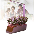 Premium Quality Growing System Hydroponics Growing System Indoor Garden Herb Garden Kit Indoor Suitable for Growing Vegetables Spices and Fruits