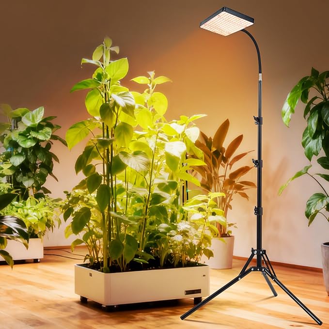 2026 Grow Light on Stand for Indoor Tall Plants Bonsai Tree Bright Natural Sunlight Full Spectrum 4/8/12/16/20H Timer 25 Watt Power Draw NO Need Adapter 24-64 Height Adjustable