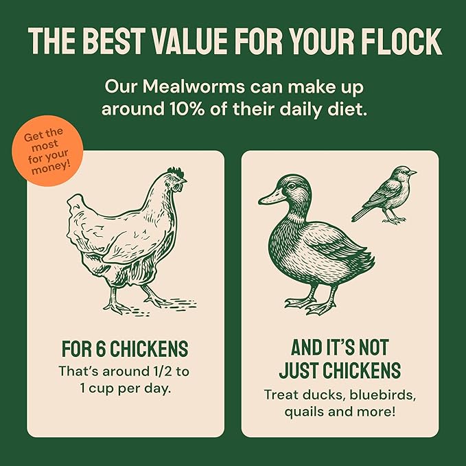 Hatortempt 20lb Dried Mealworms for Chickens - 50% Protein and 32% Essential Fats to Support Healthy Feather Growth During Molt - Organic Treats for Chickens Ducks Wild Birds &amp Reptiles