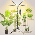 4Head Grow Light with Stand Grow Lights for Indoor Tall Plants Bonsai Tree 4/8/12/16/20H Timer 36 Watt Power Draw NO Need Adapter Bright and Big Coverage Best Gift for Plants Lover