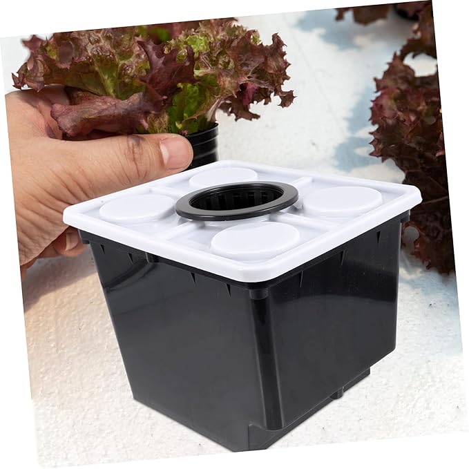 Hydroponic System for Greenhouse Planting Suitable for Vegetables Fruits and Flowers Durable Plastic Dutch Planter Multiple Planting Spaces