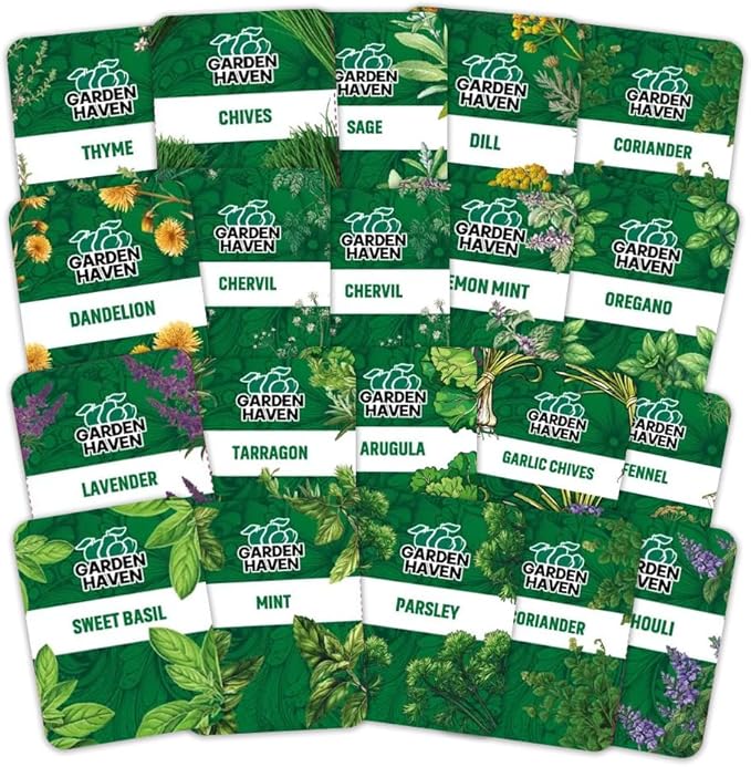 20 HERB Seeds Variety Pack - Complete Grow Kit Culinary Herbs Indoor Outdoors Herb Seeds Basil Oregano Mint Thyme &amp More Individually Seed Packets Starter Kit (Seeds Only)