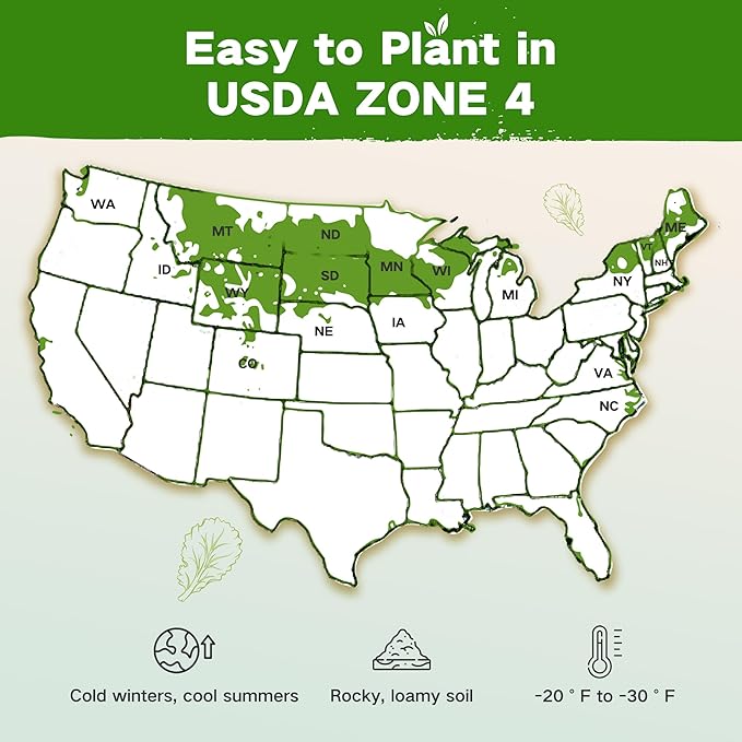 Lush&ampDew Year-Round USDA Zone 4 Seed Bank 32 Varieties Non-GMO Heirloom Seeds of Vegetables Herbs Gardening Gifts for Women Men Emergency Survival Kit for Raised Garden Bed Greenhouse