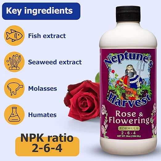 Neptune's Harvest Organic Plant Fertilizer | Liquid Fertilizer for Lawn Garden &amp Houseplant | Rich in Essential Nutrients | Rose &amp Flowering 2-4-2 (Quart) + Fish &amp Seaweed Plant Food 2-6-