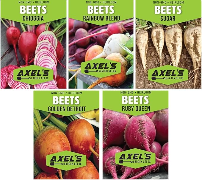 Beet Seeds for Planting - Plant &amp Grow Heirloom Beet Varieties Home Outdoor Vegetable Garden – Easy Grow Planting Packets Beta vulgaris – 5 Packets of Each Variety